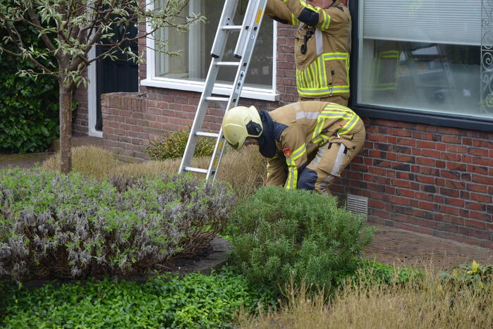 Brandweer redt kat Jessy van dak